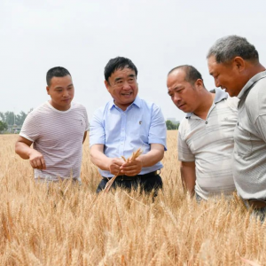 技能大賽！全國(guó)第一！來(lái)自阜陽(yáng)！