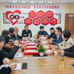 鹿城鎮(zhèn)老年協(xié)會學(xué)習(xí)宣傳貫徹黨的二十大精神，結(jié)合實(shí)際做好自身工作討論會召開