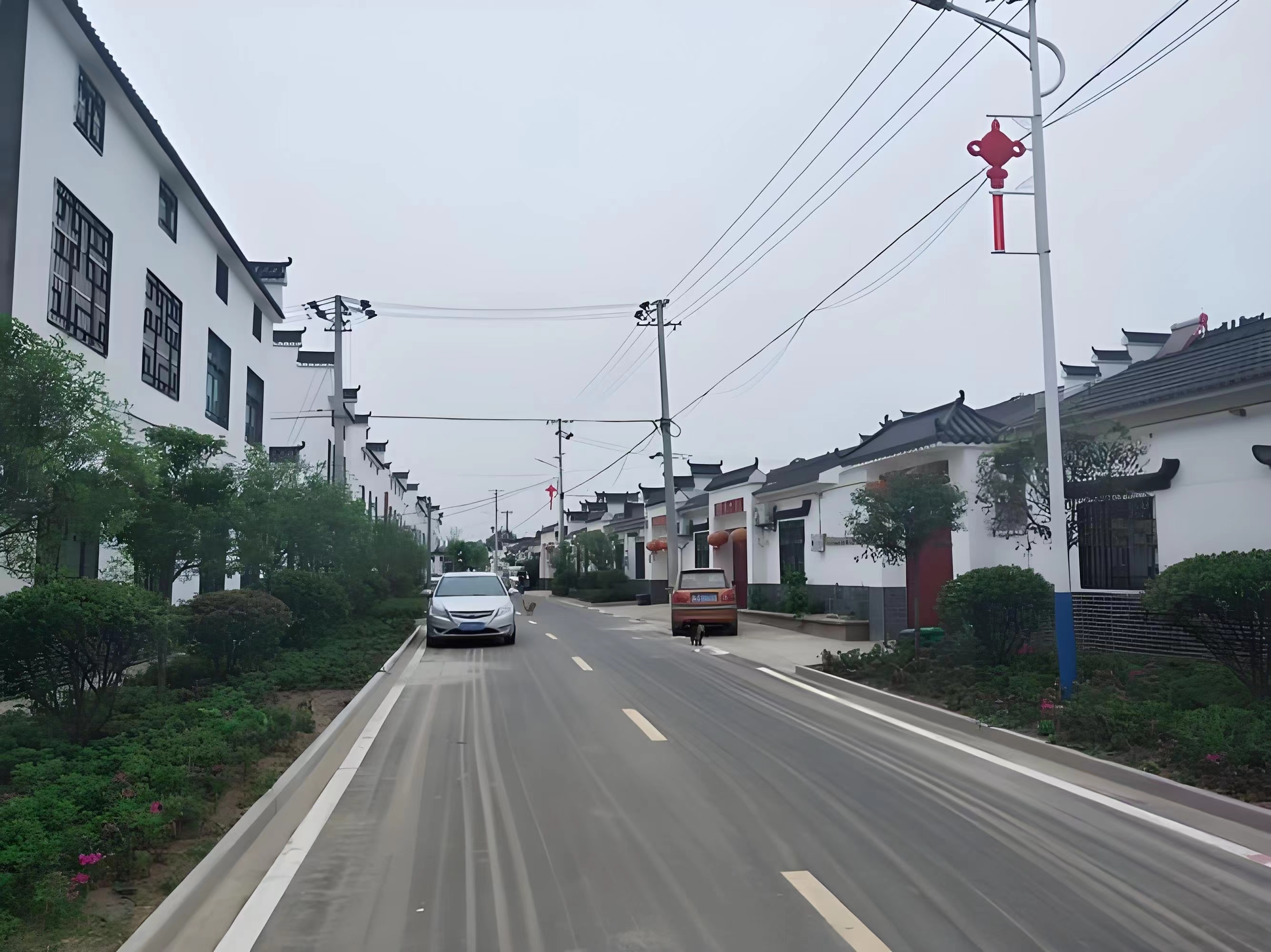 傳承紅色基因，續(xù)寫潁上黃壩發(fā)展新篇章